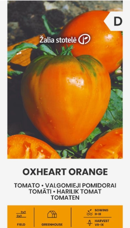 Pomidor Oxheart Orange odmiana o dużych mięsistych owocach typu bawole serce bardzo plenna nasiona 0,1g Žalia stotelė sklep rajogrodnika